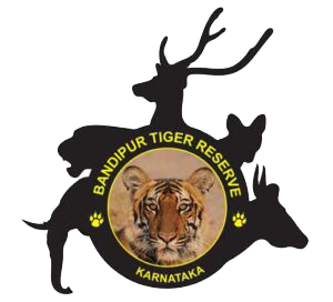 Bandipur Tiger Reserve